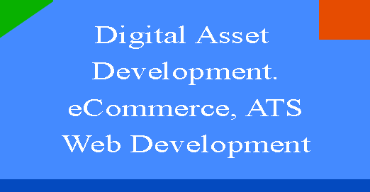 digital asset development